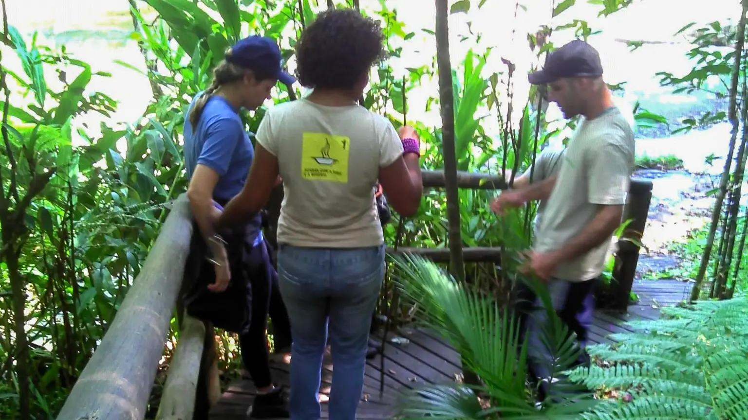 Levantamento de perigos e riscos nas atividades do Parque das Neblinas - Mogi das Cruzes/SP - 2012